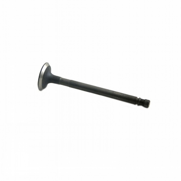 Picture of Exhaust Valve