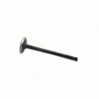 Picture of Exhaust Valve, 37mm head diameter