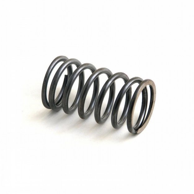 Picture of Valve Spring