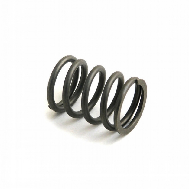 Picture of Valve Spring