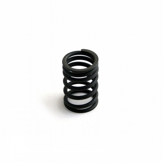 Picture of Valve Spring