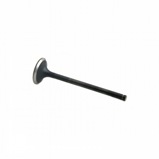 Picture of Exhaust Valve