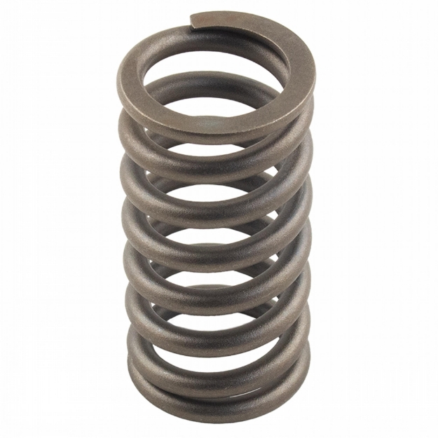 Picture of Valve Spring