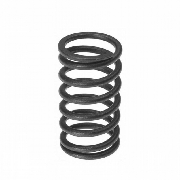 Picture of Valve Spring