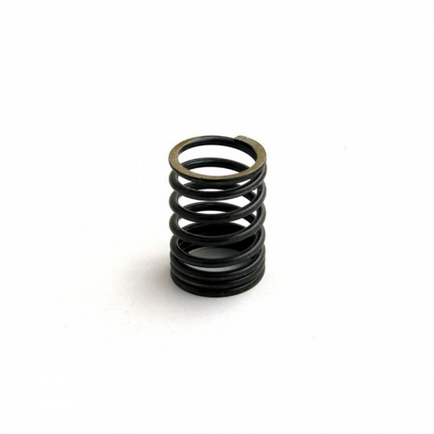 Picture of Valve Spring