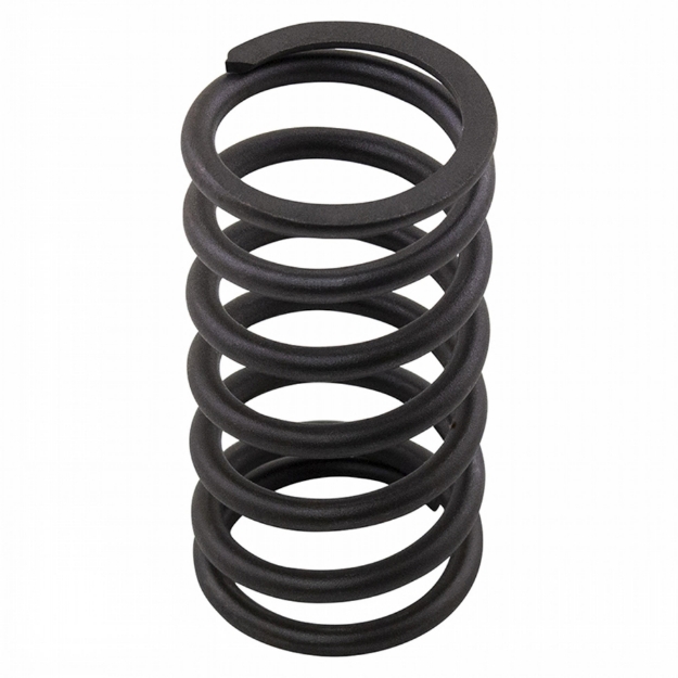 Picture of Valve Spring