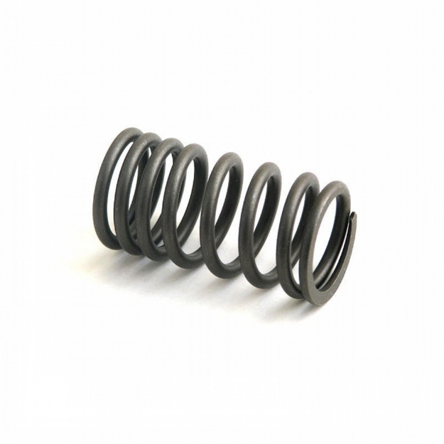 Picture of Valve Spring