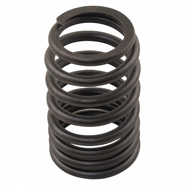 Picture of Valve Spring