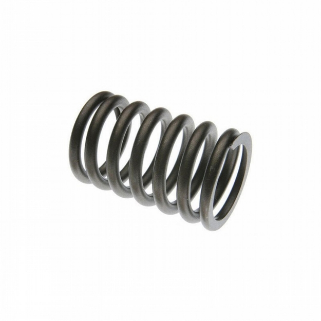 Picture of Valve Spring