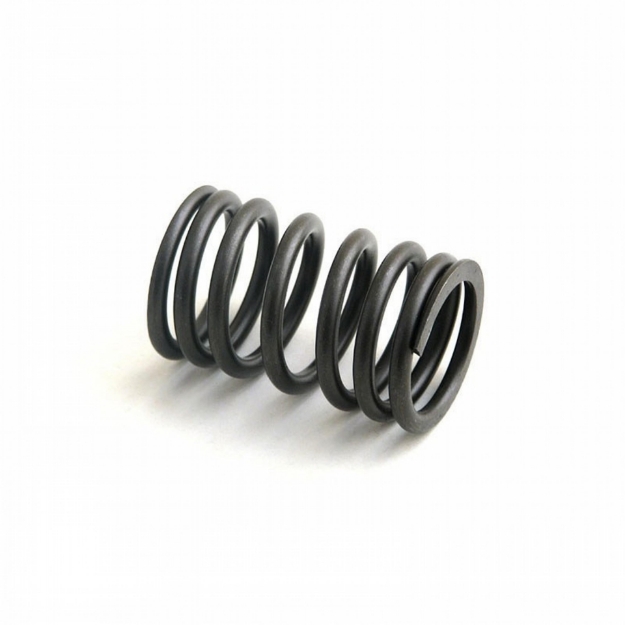 Picture of Exhaust Outer Valve Spring