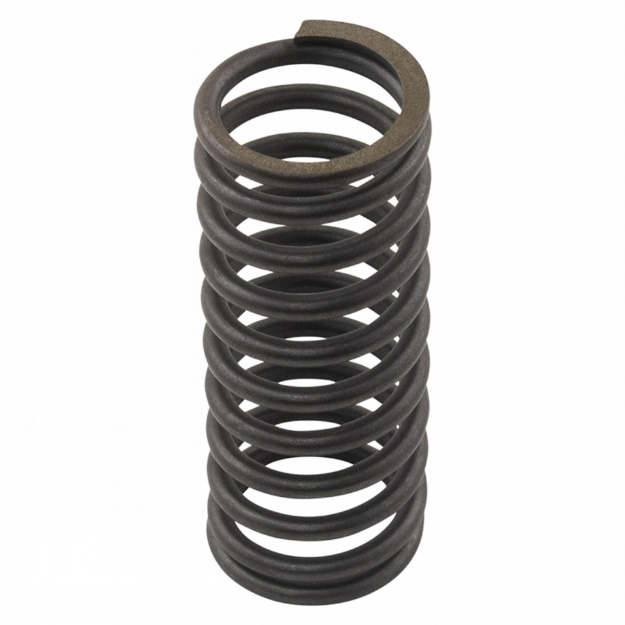 Picture of Intake Valve Spring