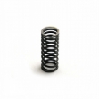 Picture of Inner Valve Spring