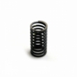 Picture of Outer Valve Spring