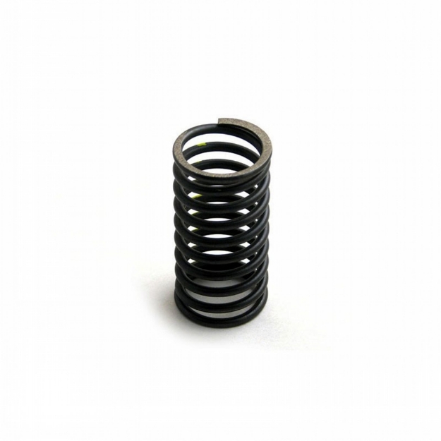 Picture of Outer Valve Spring