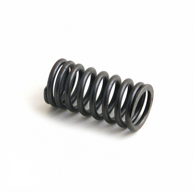 Picture of Valve Spring