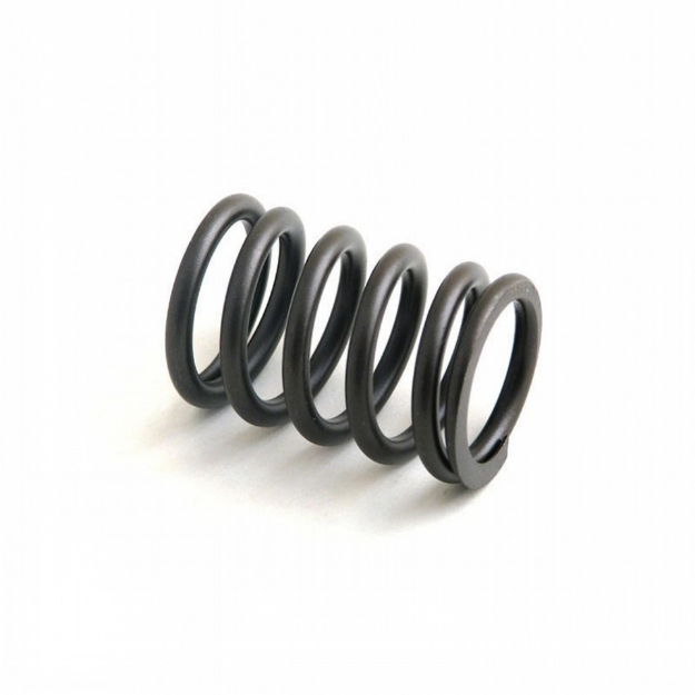 Picture of Valve Spring