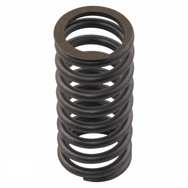 Picture of Valve Spring