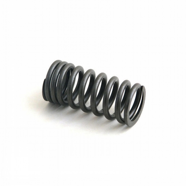 Picture of Exhaust Valve Spring