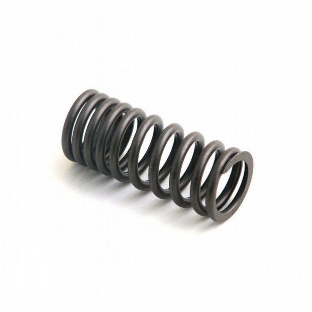 Picture of Intake Valve Spring