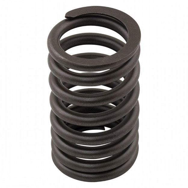 Picture of Intake and Exhaust Valve Spring