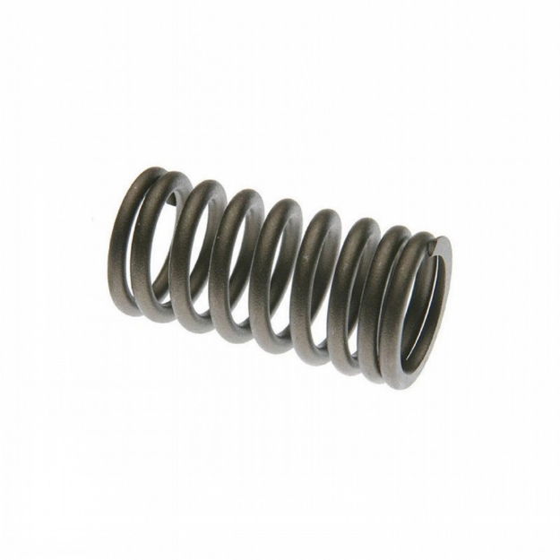 Picture of Intake Inner Valve Spring