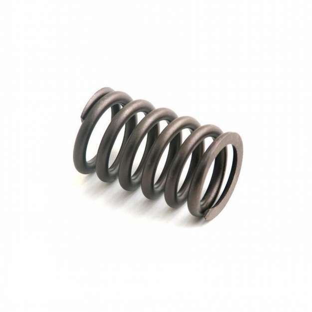 Picture of Valve Spring