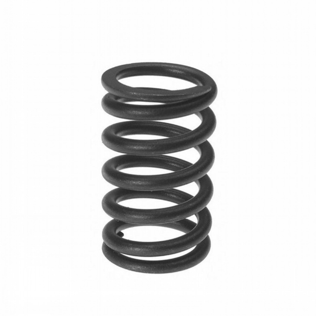 Picture of Valve Spring