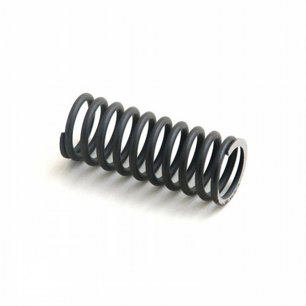 Picture of Valve Spring