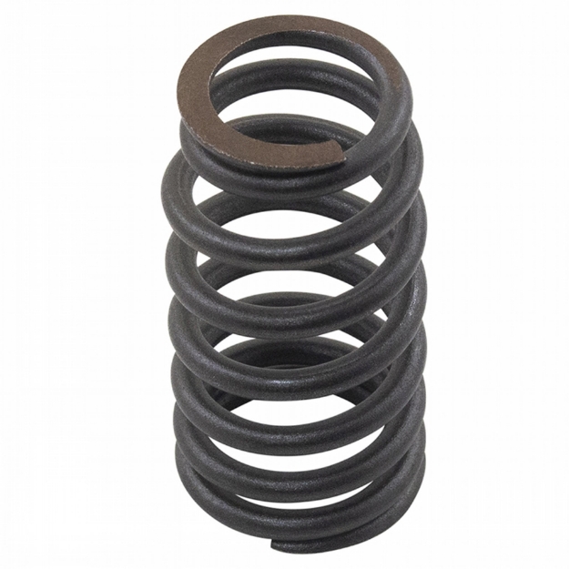 Picture of Valve Spring, Set of 2