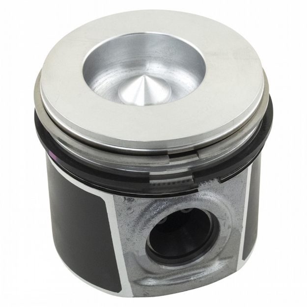 Picture of Piston & Rings, Standard