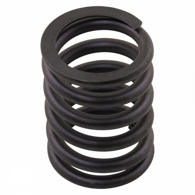 Picture of Valve Spring