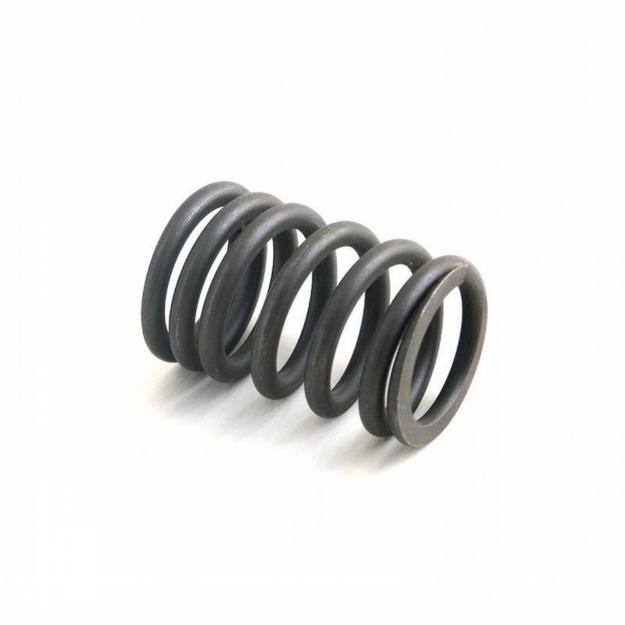 Picture of Valve Spring