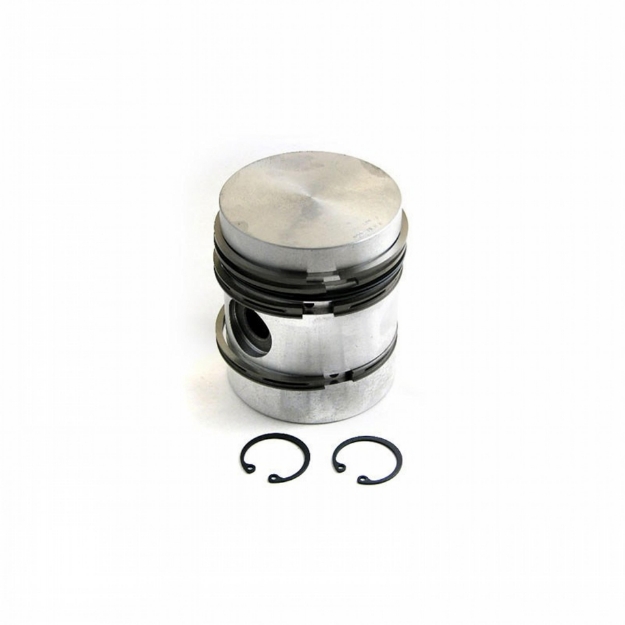 Picture of Piston & Rings, Standard, untopped