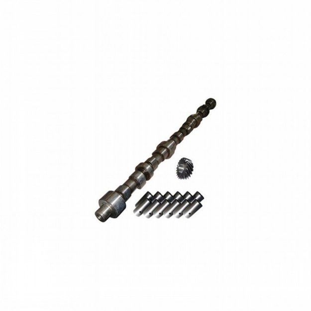 Picture of Camshaft & Lifter Kit