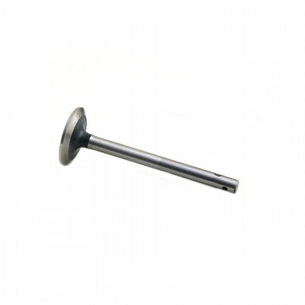 Picture of Exhaust Valve