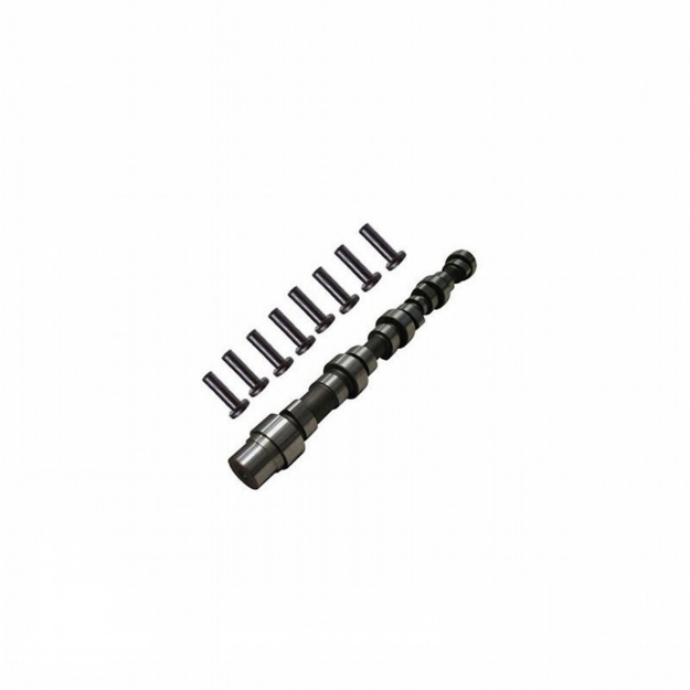 Picture of Camshaft & Lifter Kit