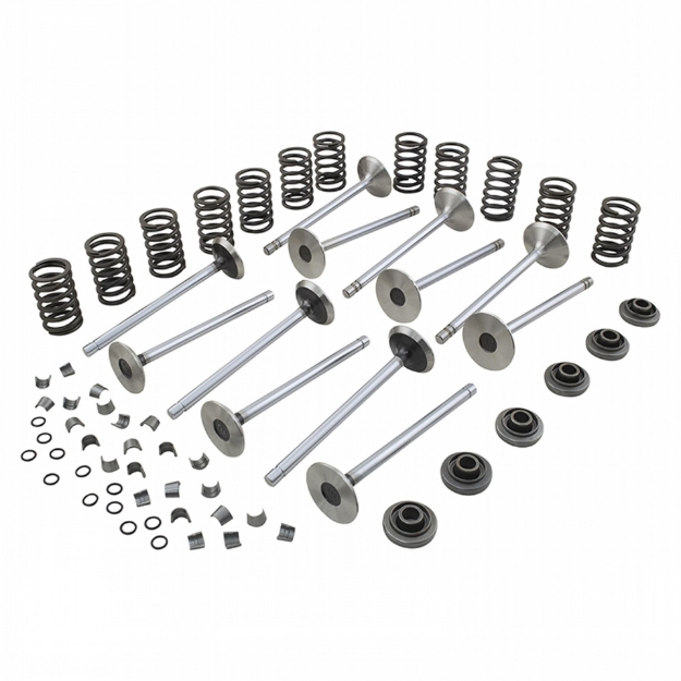 Picture of Valve Train Kit, w/ 45 Degree Intake Valve, w/ 6 rotators