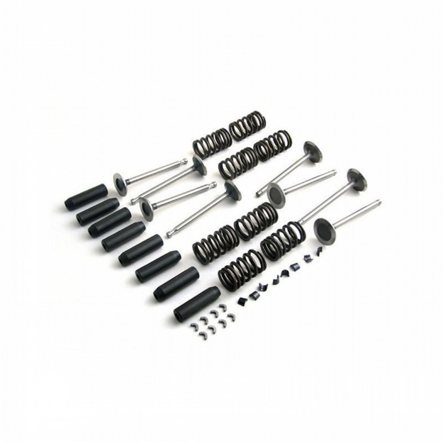 Picture of Valve Train Kit, free-rotating exhaust valves