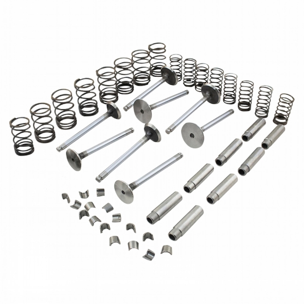 Picture of Valve Train Kit, w/ valve guides & long springs