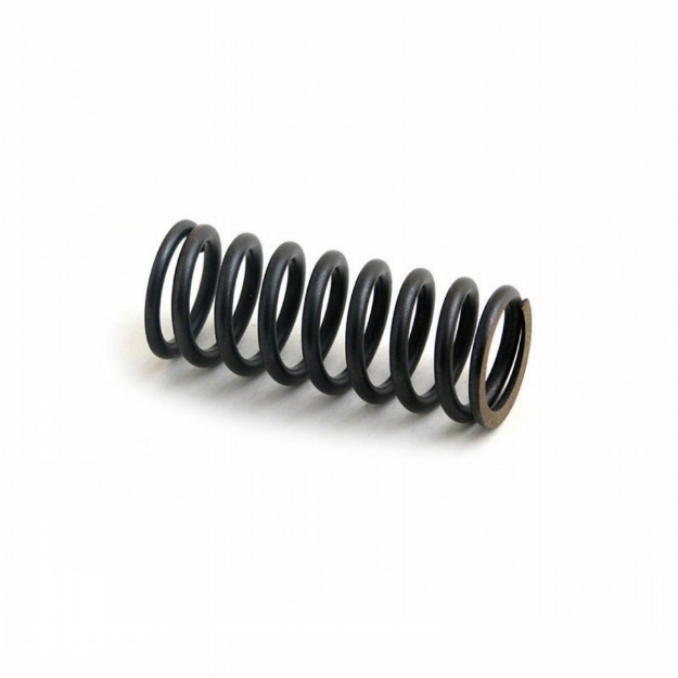 Picture of Exhaust Valve Spring