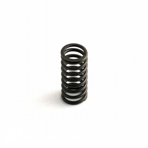 Picture of Intake Valve Spring