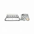 Picture of Overhaul Gasket Set, with crankshaft seals