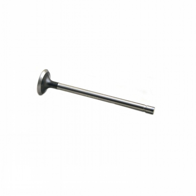 Picture of Exhaust Valve