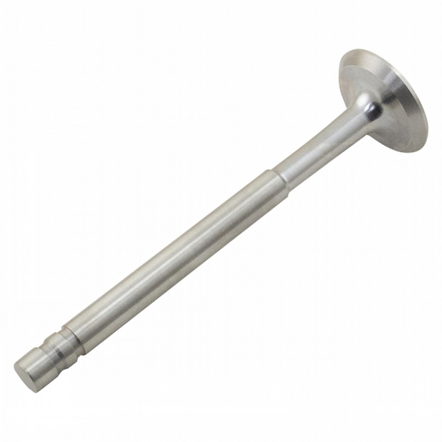 Picture of Exhaust Valve