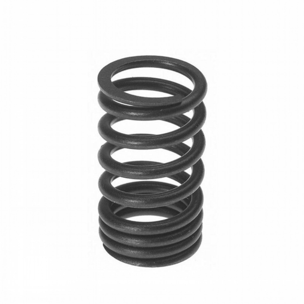 Picture of Exhaust & Intake Valve Spring