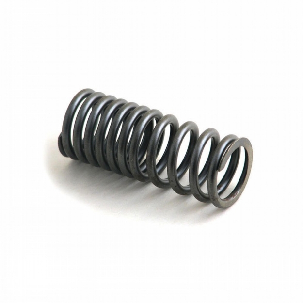 Picture of Valve Spring