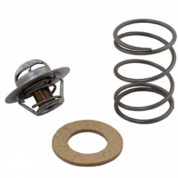 Picture of Thermostat Kit