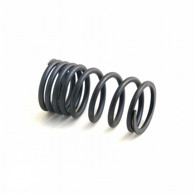 Picture of Intake Outer Valve Spring