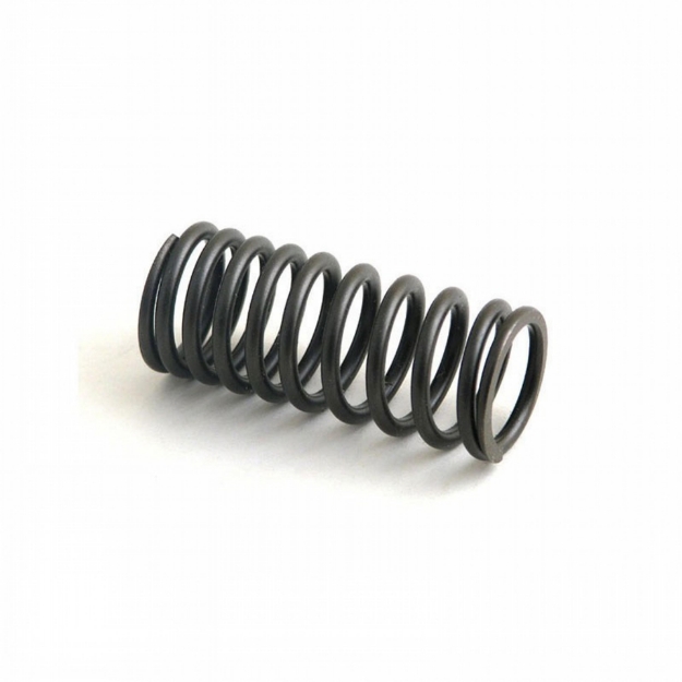 Picture of Intake Inner Valve Spring