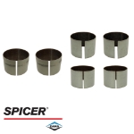 Picture of Dana/Spicer Upper and Lower Swing Arm Bushing Kit